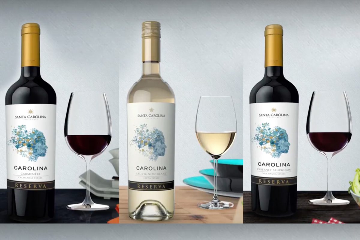 3 Recipes Paired Perfectly with Carolina Reserva Wines TheWineBuzz