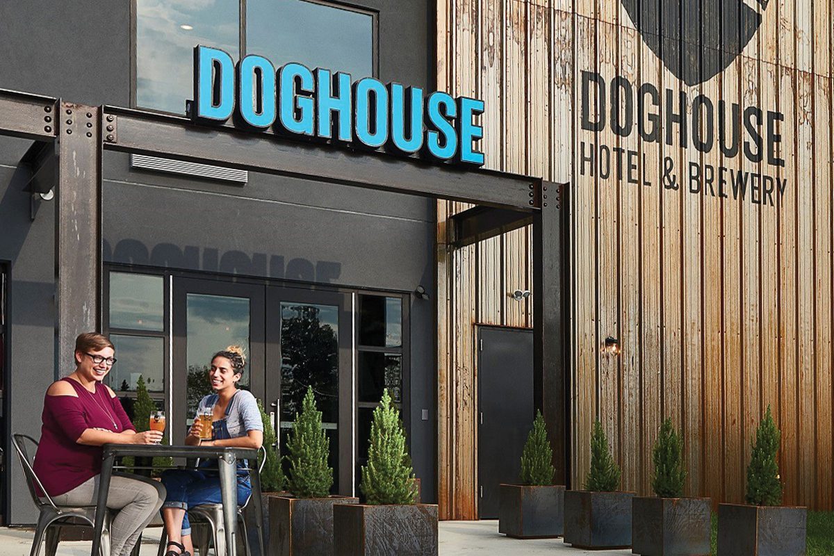 BrewDog’s New Hotel Is One Doghouse You Won’t Want to Leave TheWineBuzz