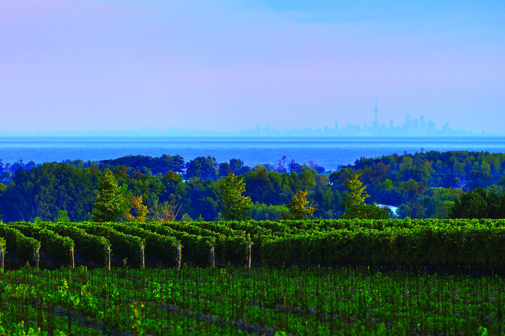 Ontario Wine Country Redefines ‘Cool’ TheWineBuzz