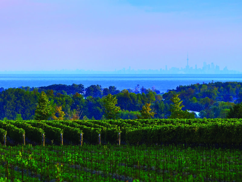 Ontario Wine Country Redefines 'Cool' - TheWineBuzz
