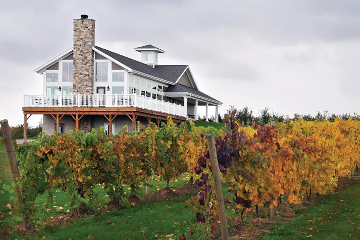Sandusky/Lorain-Area Wineries Seek Their Own Viticultural Designation 
